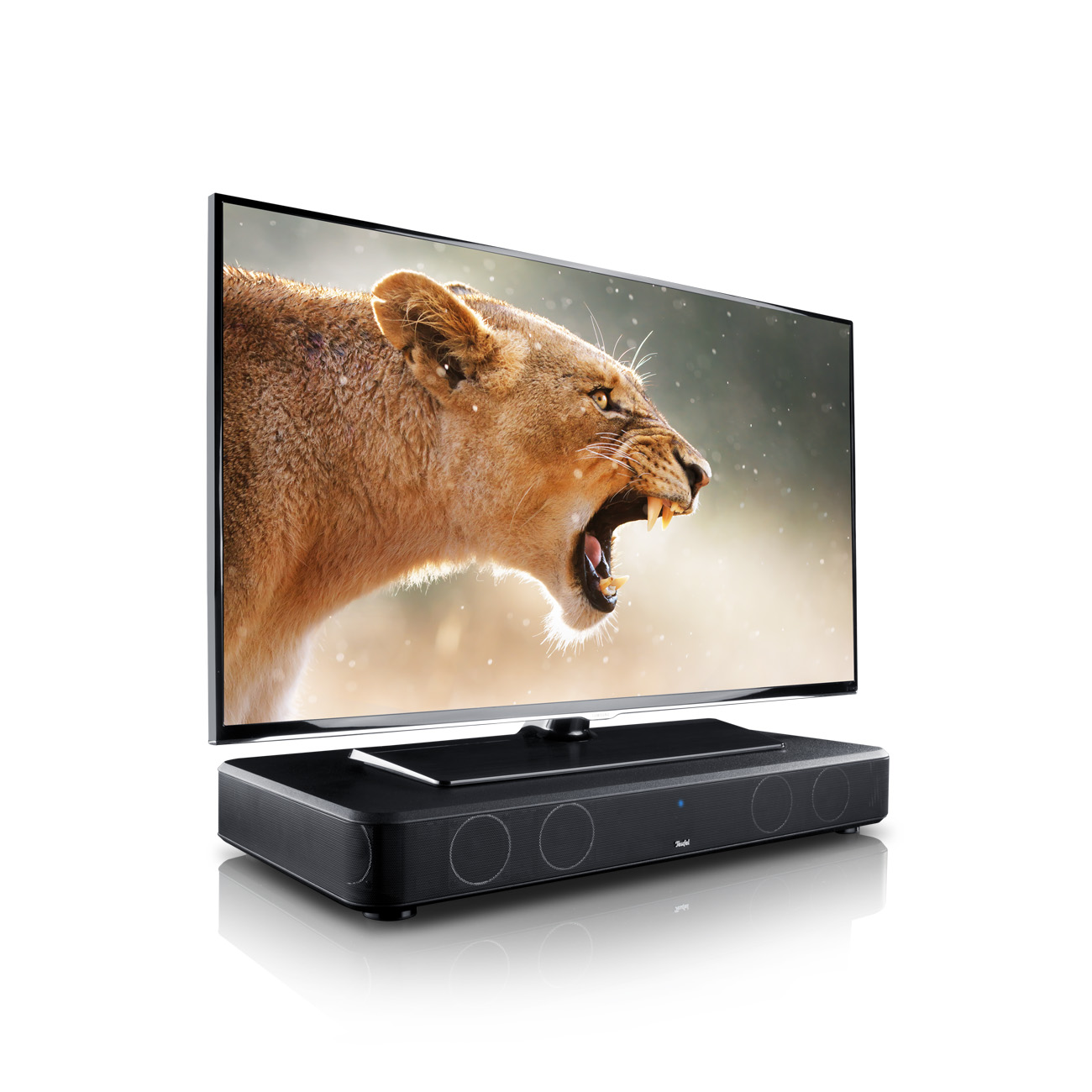 cinebase-flatscreen-lion-on-white-1300x1300x72